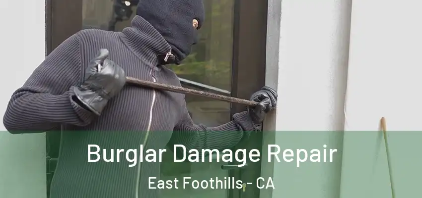 Burglar Damage Repair East Foothills - CA
