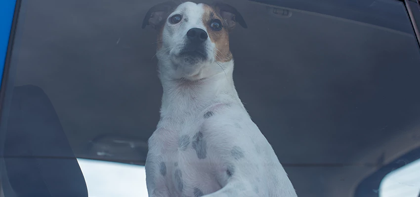 Car Lockout Solutions in East Foothills, California